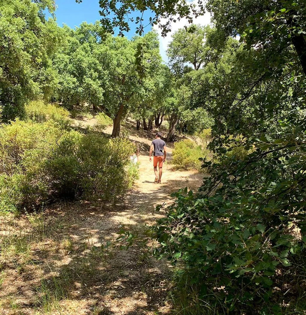 Apartment Appartement Pleine Nature 2Pers - A1 Grimaud