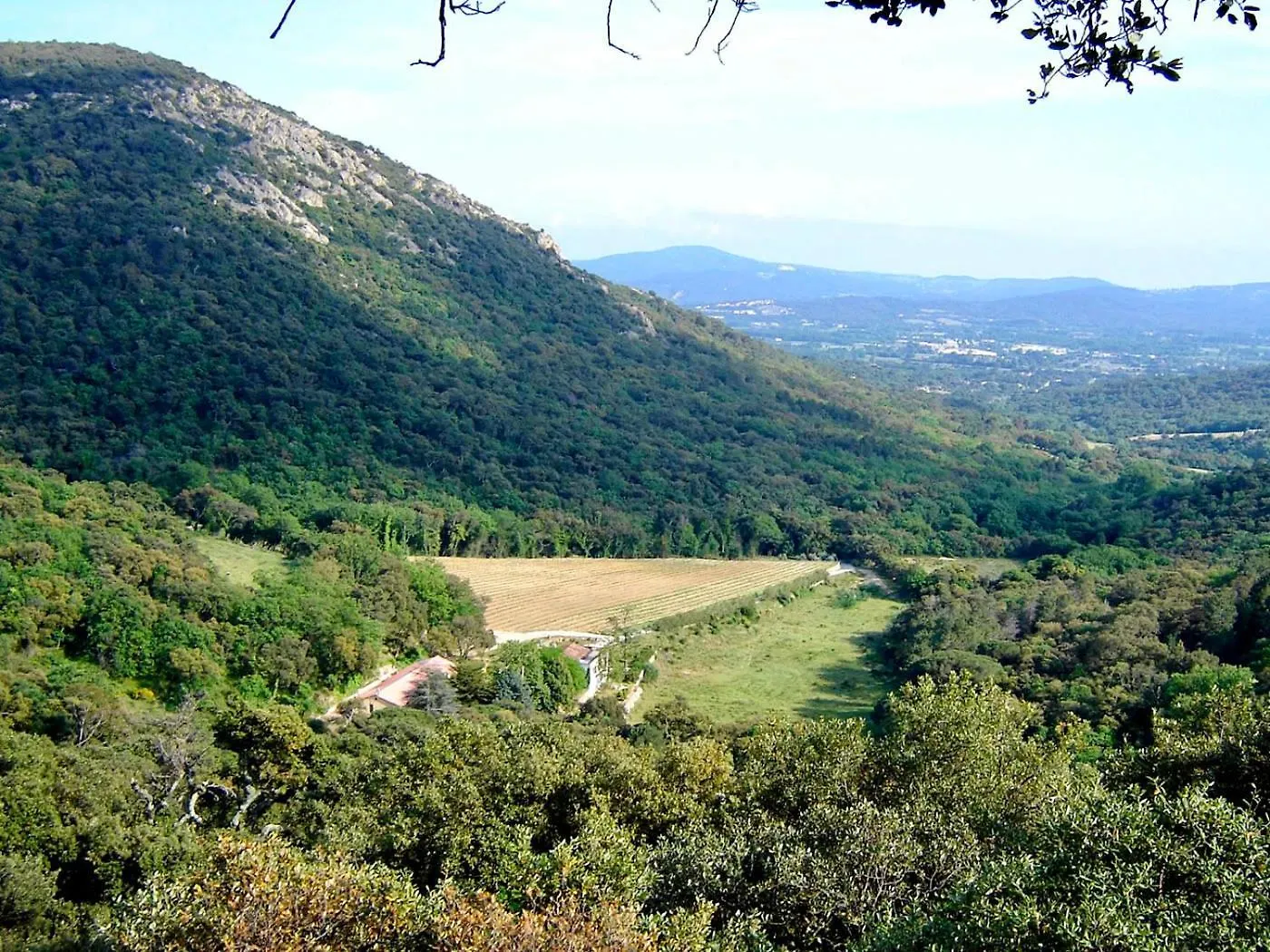 Appartement Pleine Nature 2Pers - A1 Grimaud Apartment